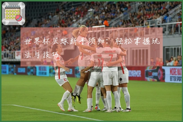 世界杯买球新手须知：轻松掌握玩法与技巧