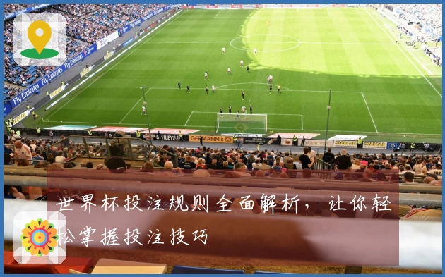 世界杯投注规则全面解析，让你轻松掌握投注技巧