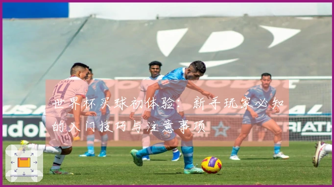 世界杯买球初体验：新手玩家必知的入门技巧与注意事项
