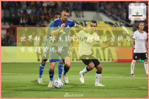 世界杯买球竞猜的几种玩法分析与市场趋势观察